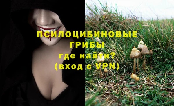 а пвп мука Арсеньев