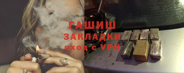хмурый Аркадак