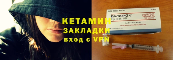 хмурый Аркадак