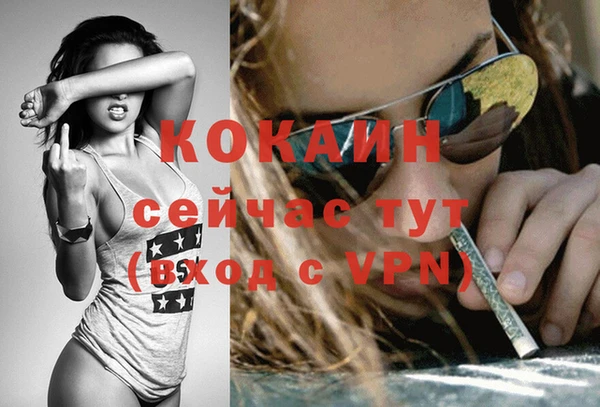 хмурый Аркадак