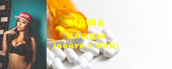 хмурый Аркадак
