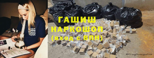 хмурый Аркадак